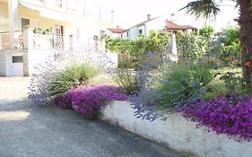 Guest House Jasmin
