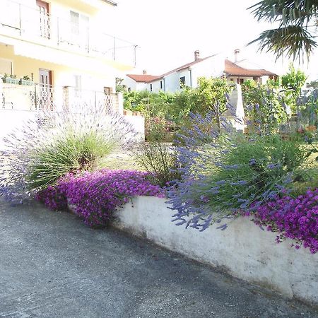 Guest House Jasmin Rovinj Exterior foto